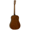 Tanglewood Acoustic Guitar Sundance Delta: TW40 SDD