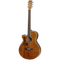Tanglewood Electro-Acoustic Guitar Sundance Pro: TW 47E (Left Handed)