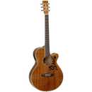 Tanglewood Electro-Acoustic Guitar Sundance Pro: TW 47E