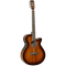 Tanglewood Winterleaf Series: TW4 Koa