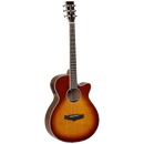 Tanglewood Winterleaf Series: TW4 SB