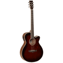 Tanglewood Winterleaf Series: TW4 WB