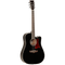 Tanglewood Winterleaf Series: TW5