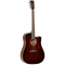 Tanglewood Winterleaf Series: TW5 WB