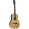 Tanglewood Electro-Acoustic Guitar Sundance Pro: TW 73E