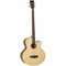 Tanglewood Winterleaf Series: TW8 AB