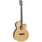 Tanglewood TW9E Electro Acoustic Guitar, Winterleaf Series