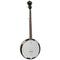 Tanglewood: 5 String Banjo