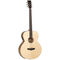 Tanglewood Acoustic Guitar,  Evolution Exotic: TWB Z