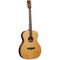 Tanglewood Electrco-Acoustic Guitar Java Series: TWJF E Folk Size