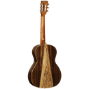 Tanglewood Electrco-Acoustic Guitar Java Seriesa: TWJP E Parlour Size