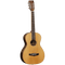 Tanglewood Electrco-Acoustic Guitar Java Seriesa: TWJP E Parlour Size