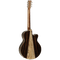 Tanglewood Electrco-Acoustic Guitar Java Series: TWJSF CE (Left  Handed)