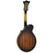 Tanglewood Electro Acoustic F Style Mandolin Back