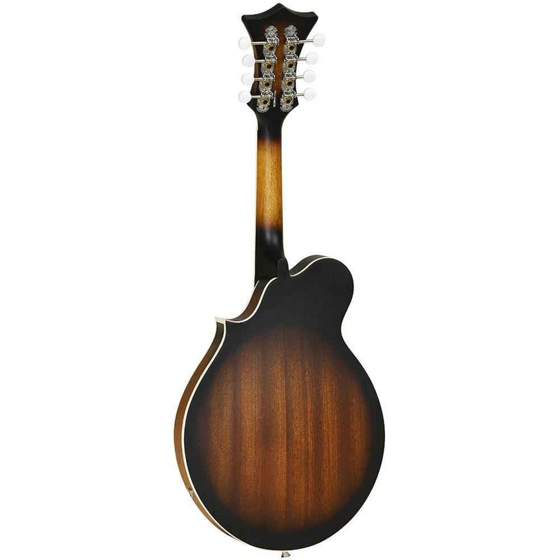 Tanglewood Electro Acoustic F Style Mandolin Back