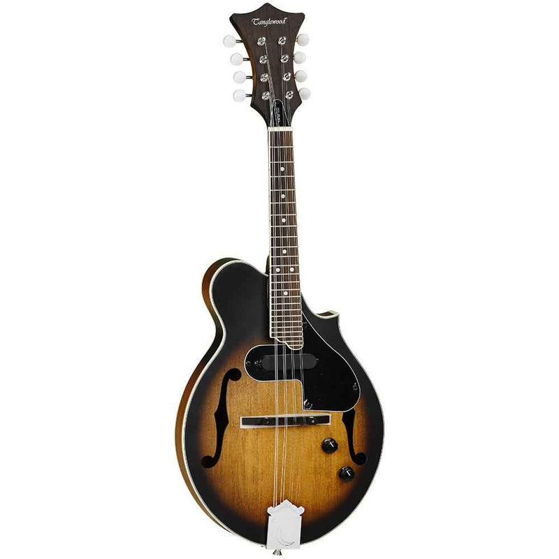 Tanglewood Electro Acoustic F Style Mandolin