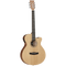 Tanglewood Electro-Acoustic Guitar Roadster II: TWR2 SFC