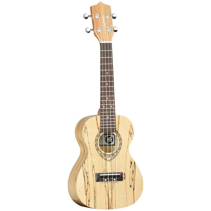 Tanglewood  Electro-Acoustic Concert Ukuele TWT10