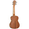 Tanglewood Tiare Concert Ukuele  TW9