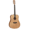 Tanglewood Union Series: TWU D Acoustic Guitar