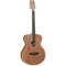 Tanglewood Union Series: TWU F Acoustic Guitar