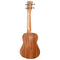 Tanglewood Electro-Acoustic Concert Ukulele TWT9E With Pickup and Gigbag