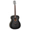 Tanglewood Blackbird Electro Acoustic Guitar OE