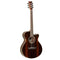 Tanglewood Electro-Acoustic Guitar, Discovery: DBT DLX SFCE AEB