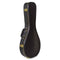 Koda A Shape Mandolin Hard Case (Closed)
