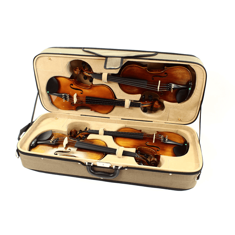 Koda: 4/4 Violin Foam Quad Case Open